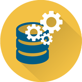 业务系统以及其他定制开发